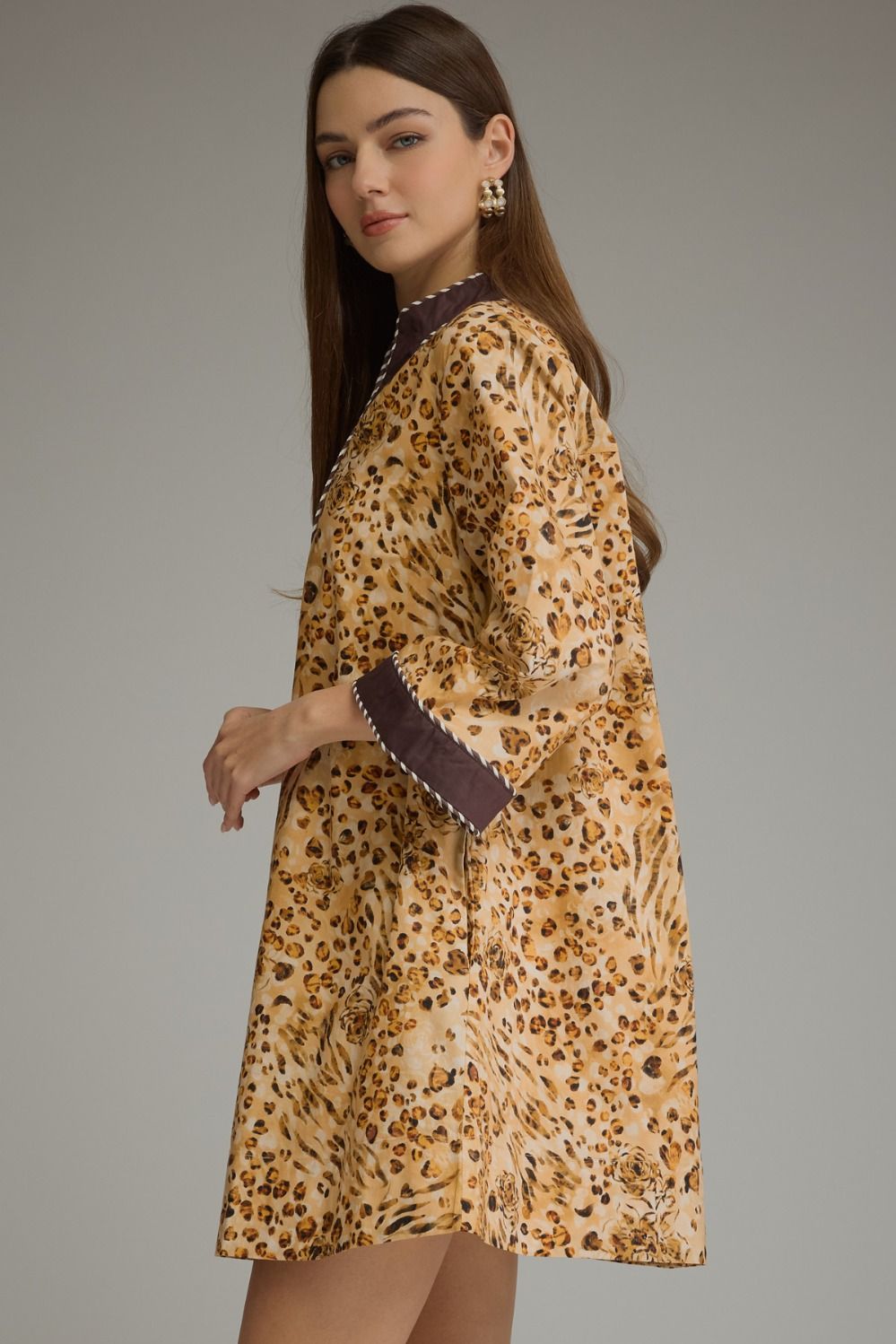 Animal Print V-Neck Dress