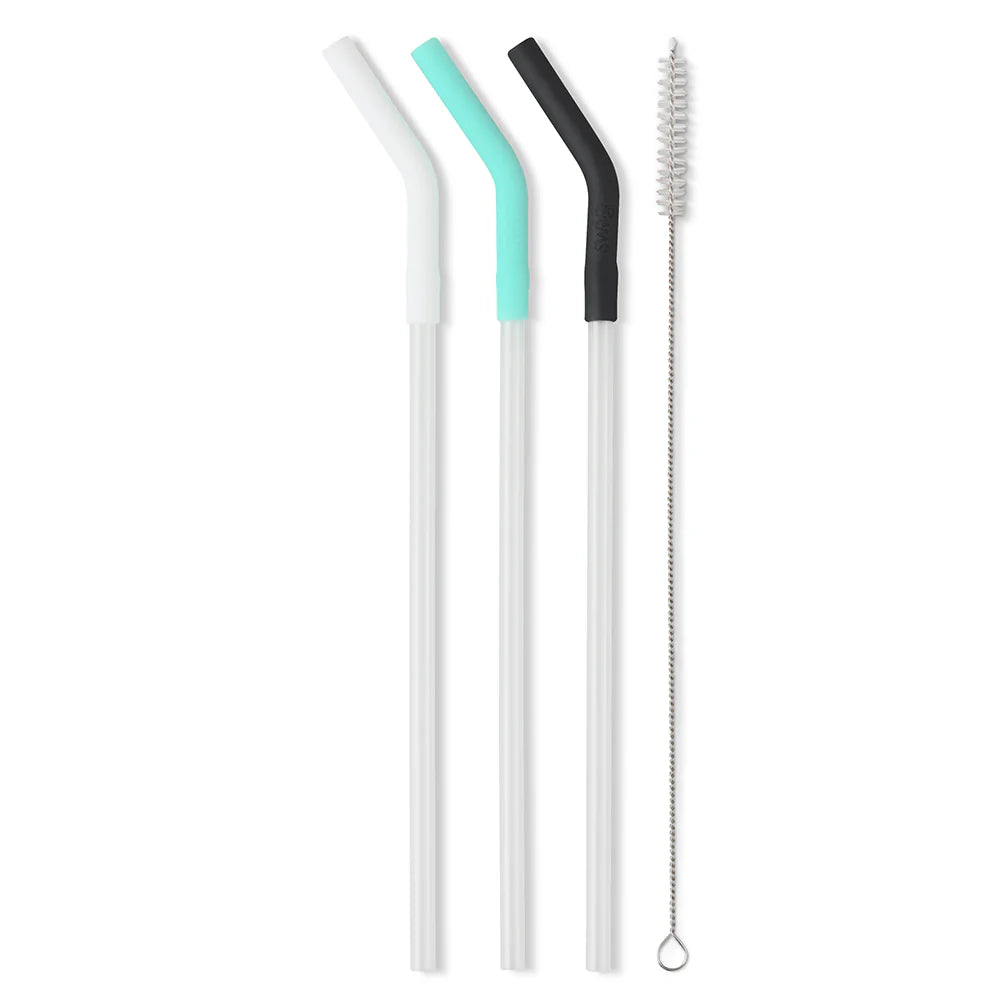 Swig Aqua Mega Mug Straw Set